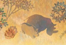 Google Doodle celebrates the last male northern white rhino in Sudan Google Doodle celebrates the last male northern white rhino in Sudan