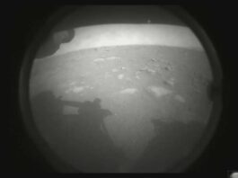 NASA Rover's land on Mars, looking for signs of ancient life