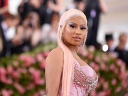 Nicki Minaj's father dies after being hit by a car on Long Island