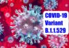 Coronavirus-New-south-Africa-Strain-B.1.1.529