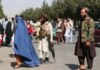 Female scribes must wear hijabs, according to the Taliban, who have banned television shows featuring women artists.