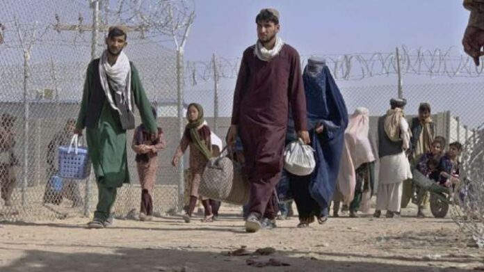 In 2021, more than 1.146 million undocumented refugees will return to Afghanistan.