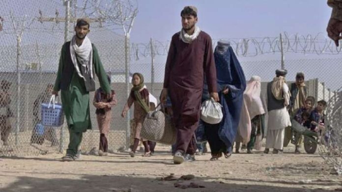 In 2021, more than 1.146 million undocumented refugees will return to Afghanistan. In 2021, more than 1.146 million undocumented refugees will return to Afghanistan.