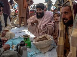 "Just All Lies": An Australian company was mistakenly identified as a Taliban hashish partner.
