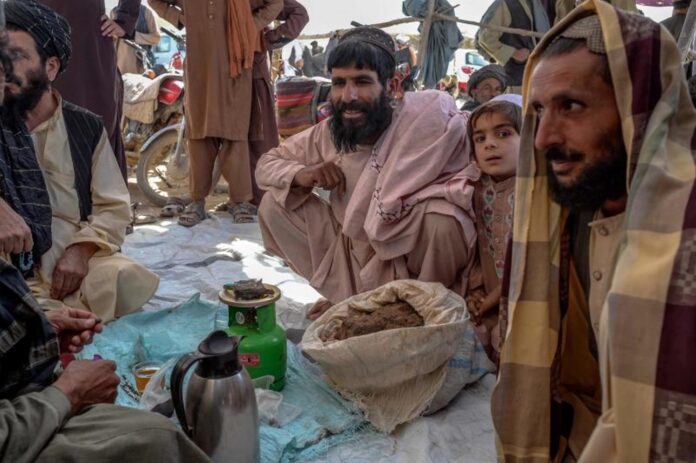 "Just All Lies": An Australian company was mistakenly identified as a Taliban hashish partner. "Just All Lies": An Australian company was mistakenly identified as a Taliban hashish partner.