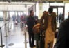 From Kabul, India airlifts 110 people, including Afghan nationals