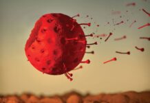 After a two-year pandemic, what will Covid do ? After a two-year pandemic, what will Covid do ?