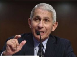Omicron cases are expected to peak by the end of January, according to Dr. Anthony Fauci