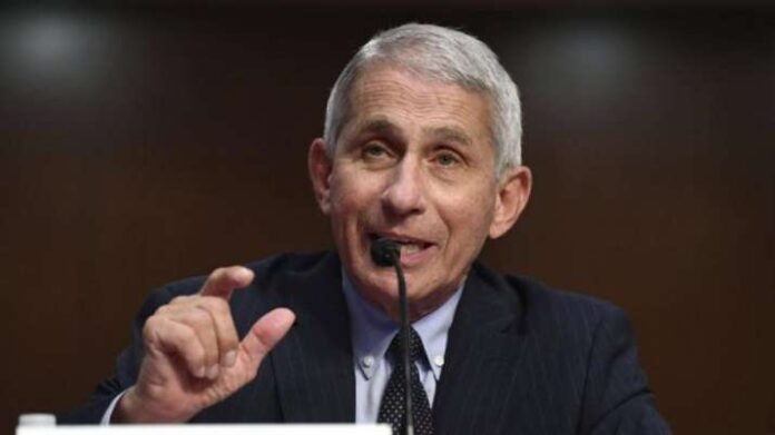 Omicron cases are expected to peak by the end of January, according to Dr. Anthony Fauci