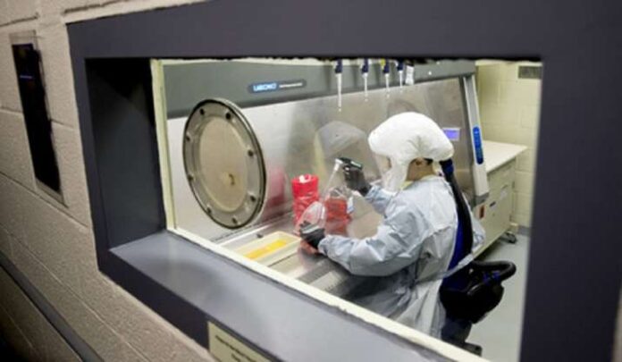 A molecular diagnosis test will detect an Omicron variation in 20 minutes: Report A molecular diagnosis test will detect an Omicron variation in 20 minutes: Report