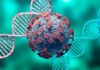 The next virus could be more fatal and contagious, according to the creator of the Oxford University Covid-19 vaccine