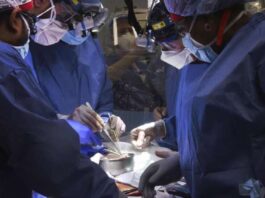 In a first, surgeons in the United States transplanted a pig heart into a human patient