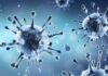Study shows that a new antiviral medication combination is extremely effective against COVID-19