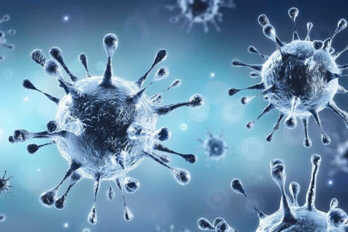 Study shows that a new antiviral medication combination is extremely effective against COVID-19 Study shows that a new antiviral medication combination is extremely effective against COVID-19