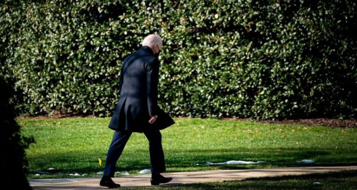biden (1)