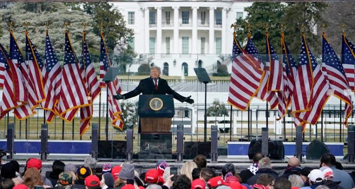 trump (1)