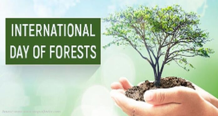 International-Day-of-Forests International Day of Forests March 21 United Nations International Day Of Forests 2022