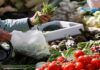 Lebanon's economic crisis, Layla Ibrahim, AFP