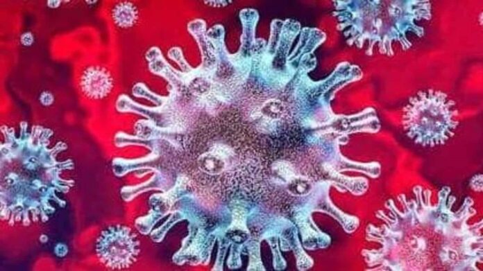 The WHO has issued a warning regarding the new Covid-19 variation 'XE,' which is a mix of Omicron sub-variants The WHO has issued a warning regarding the new Covid-19 variation 'XE,' which is a mix of Omicron sub-variants