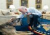 US President Joe Biden, Biden's Dog, Secret Service Agents, White House