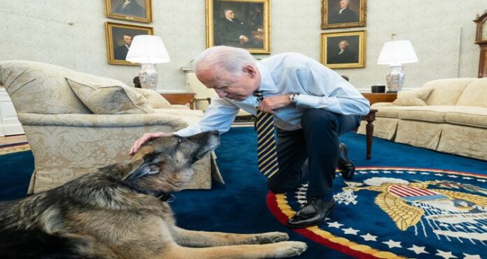 US President Joe Biden, Biden's Dog, Secret Service Agents, White House