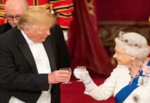 Former US President Donald Trump claims that both the Queen and Camilla wanted his attention at the 2019 State Dinner Former US President, Donald Trump, Trump claims, the Queen, Camilla, Queen Elizabeth, royal banquet, 2019, Talk TV's, Melania