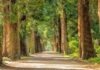 International Day of Biological Diversity, 22May, biodiversity, Theme, History, UN Biodiversity Conference