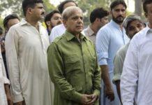 Pakistan’s 12-hour blackouts have been linked to a major shift in Europe Pakistan's 12-hour blackouts have been linked to a major shift in Europe