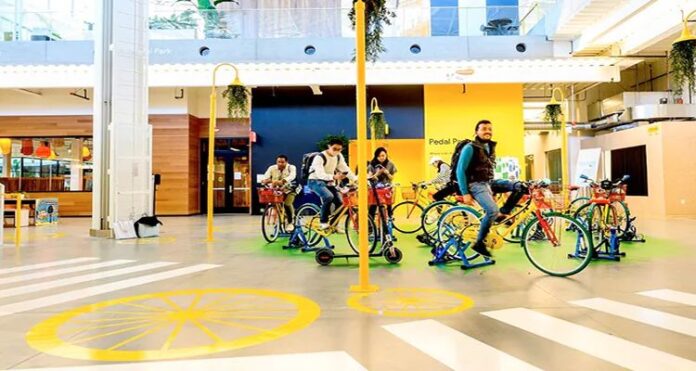 indoor Google Welcomes, Pandemic-Era Employees, Sunlit Indoor Spaces, Michelle Kaufmann, Google's director of development