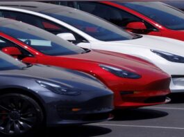 Tesla Closes, Autopilot Jobs, California, San Mateo, Tesla CEO, Elon Musk, Shanghai's anti-pandemic