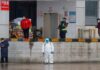 Cholera-causing bacteria, turtles strikes, Wuhan, China,COVID-19, Wuhan's Hongshan district
