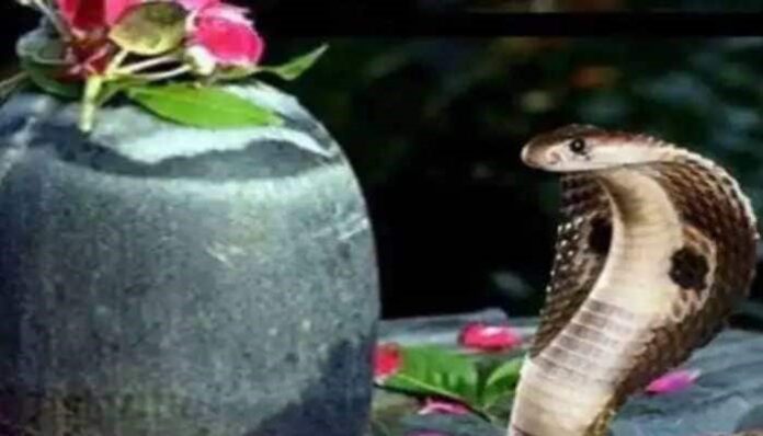 History, significance, and greetings for Nag Panchami 2022 History, significance, and greetings for Nag Panchami 2022
