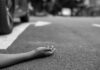 In Sindh, Pakistan, a bus-tanker collision results in 20 fatalities and 6 injuries