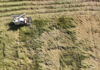 In the midst of the worst heatwave on record, China's harvest is under "serious threat "