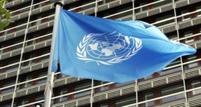 UN LANKA (1) According to the UN, UN, Sri Lanka, Going to Bed Hungry, South Asian nations, economic crisis
