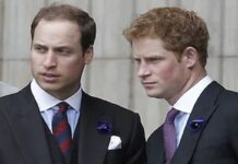 Report: Formerly-Close Royal Brothers William and Harry are now estranged Close Royal Brothers, William and Harry, California, United States, royal historian and novelist Ed Owens,