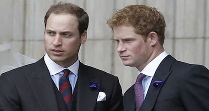 Close Royal Brothers, William and Harry, California, United States, royal historian and novelist Ed Owens,