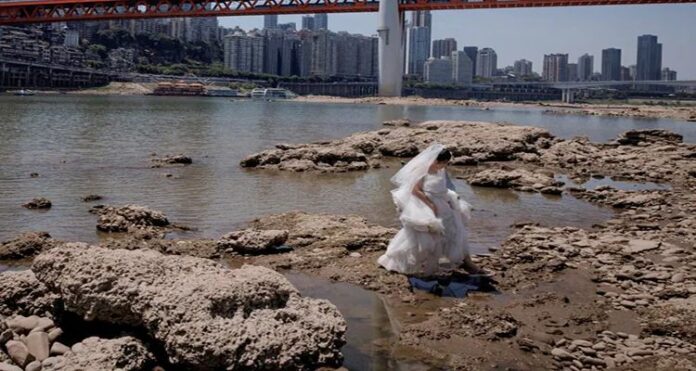 china China issues a drought alert, battles wildfires, crops during a heatwave, sweltering temperatures, Chinese emergency ministry statistics, Bishan district temperatures