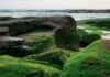 Fish Toxins, Algal Bloom, California, The California Water, Water Quality Monitoring Council,