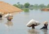 Flooding in Pakistan, Pakistan Causes Economic Loss, $18 Billion, USD 12.5 billion, 4.2 million acres