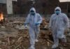 Pandemic, Set Human Growth, 5 Years Worldwide, United Nations, COVID-19
