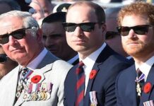 Why There Was Disagreement When William Assumed Charles’ Title as Prince of Wales Disagreement, William Assumed Charles, Prince of Wales, Queen's death, princess of Wales