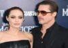 Angelina Jolie Alleges Brat, Angelina Jolie, Chateau Miraval,