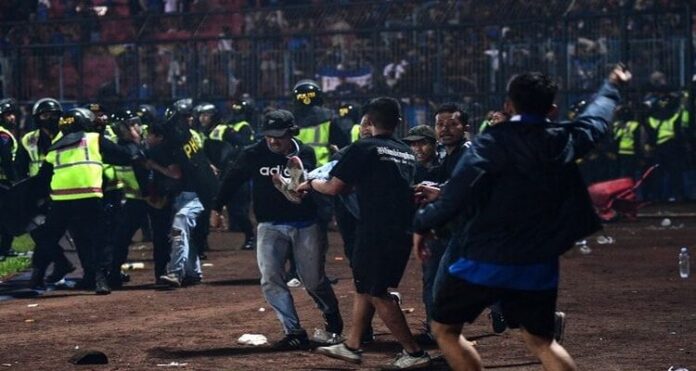 indonesia (1) Find the perpetrators, Indonesian, 125 people,