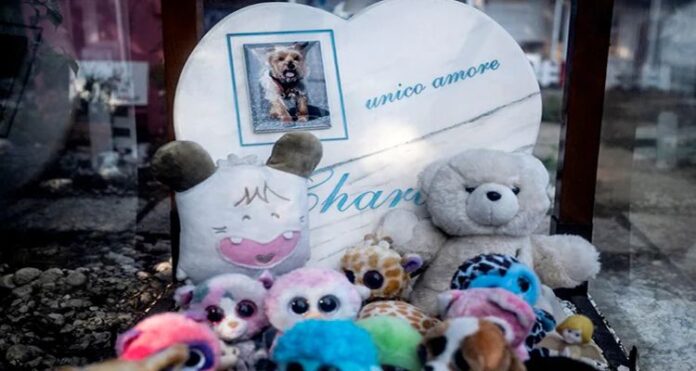 Mussolini's Hen, Italy's Oldest Pet Cemetery, Saint Peter,