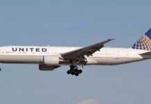Business Class Passengers Panic After Snake Is Spotted In US Plane: Report Business Class Passengers, Passengers Panic, US Plane, Snake Is Spotted