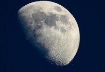 Scientists in Australia hope to grow plants on the moon by 2025 Scientists in Australia hope to grow plants on the moon by 2025