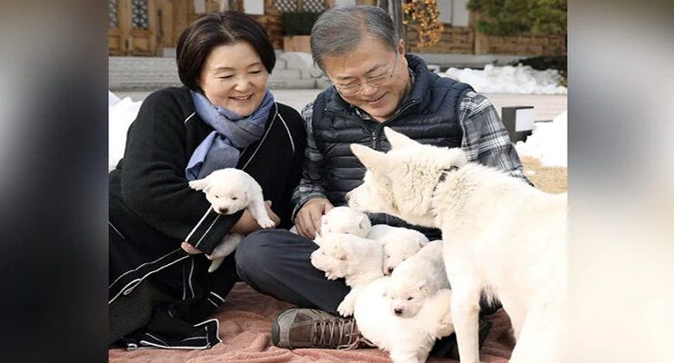 Ex-President Of South Korea, South Korea, Kim Jong Un, Moon Jae-in