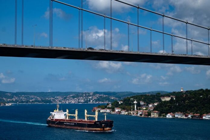 Turkey claims to be working to renew the Black Sea grain deal