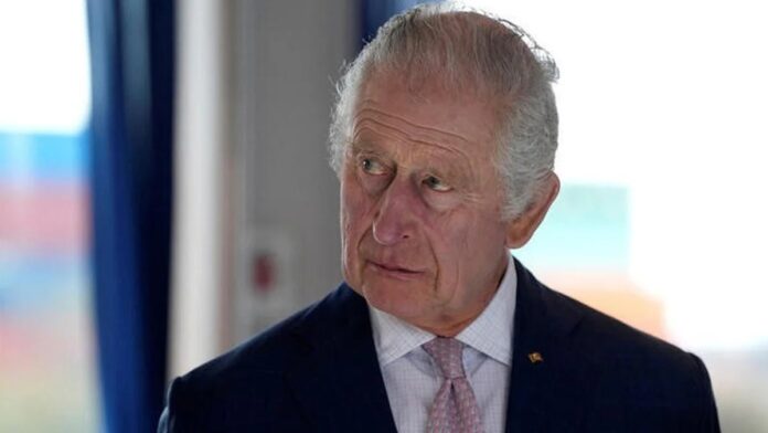 UK citizens were urged to pledge allegiance to King Charles during the coronation UK citizens were urged to pledge allegiance to King Charles during the coronation